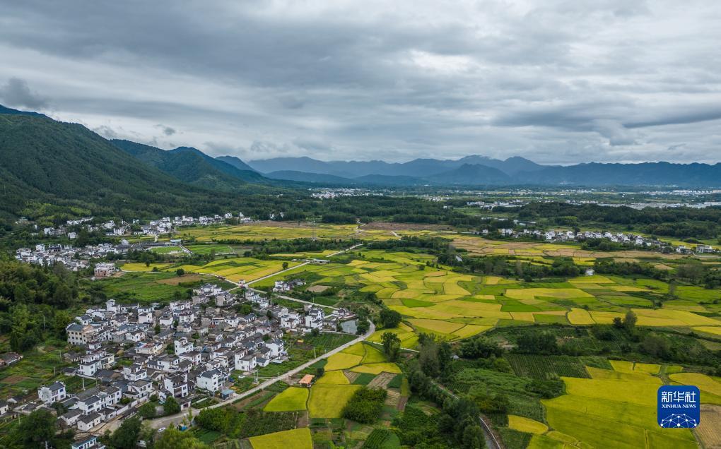 娱乐平台登陆